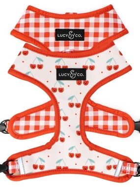 New Lucy & Co harness and leash